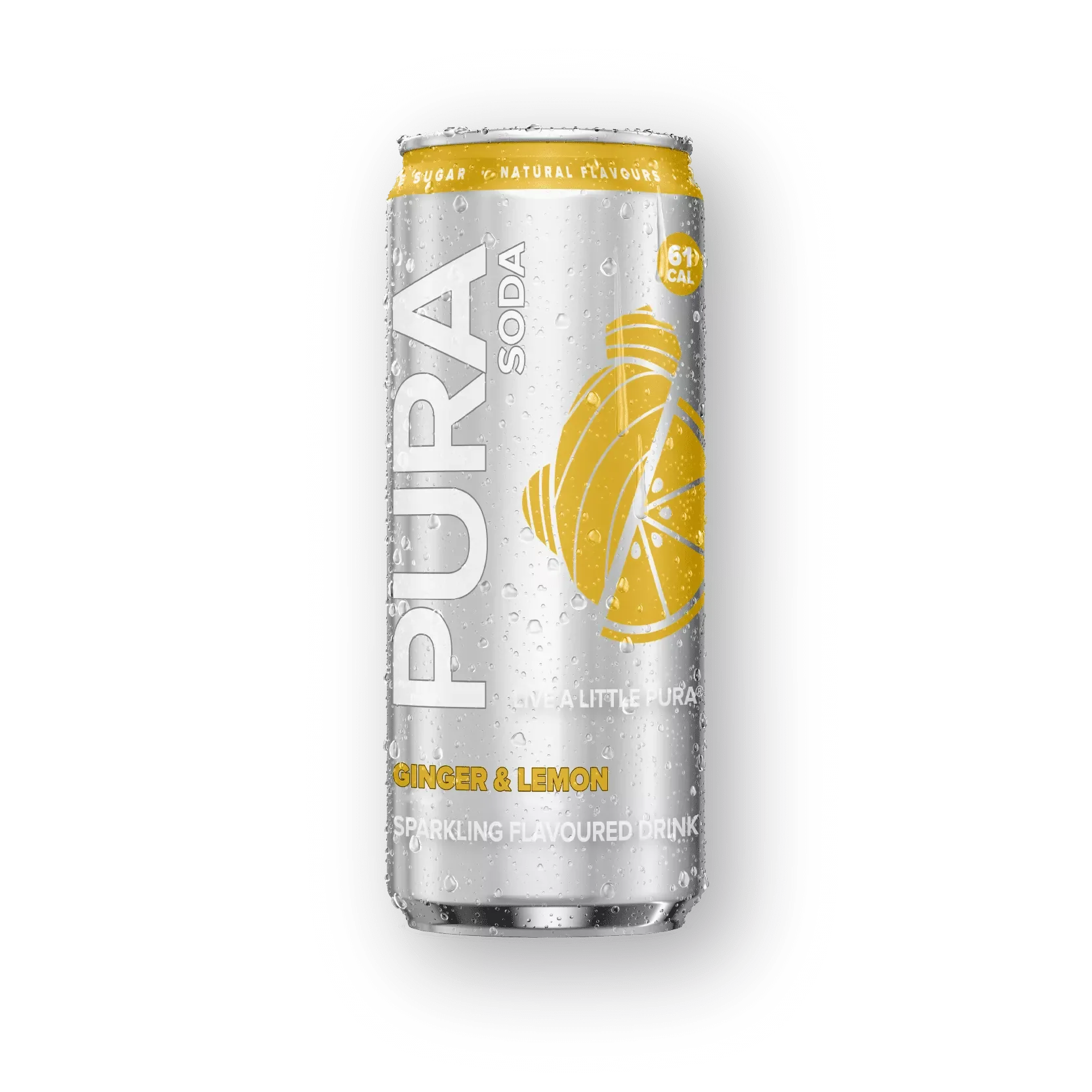 Pura Soda Ginger Lemon Flavored Sparkling Drink, 12x300ml